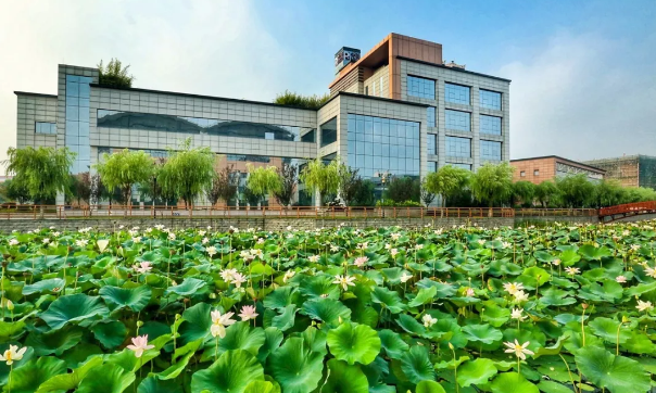 editor_1528868162810993.png 3.png