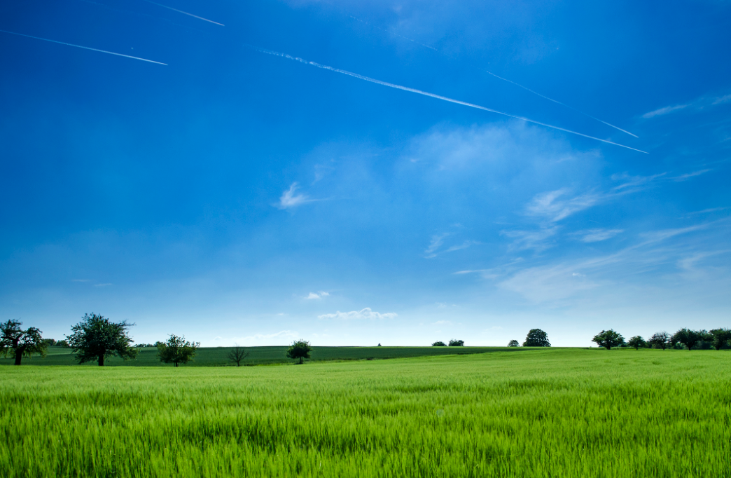 editor_1529119026471648.png 14.png