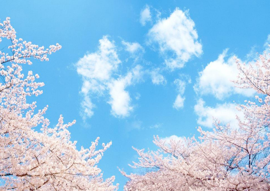 editor_1529119035151979.png 15.png