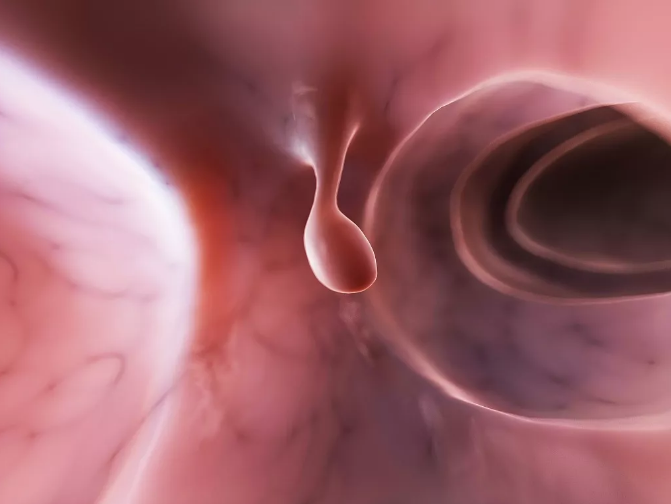 editor_1530596770323766.png 1.png