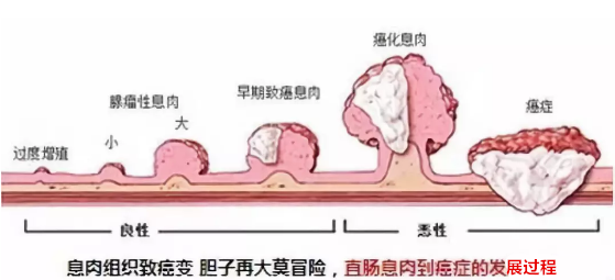 editor_1530596777200407.png 2.png