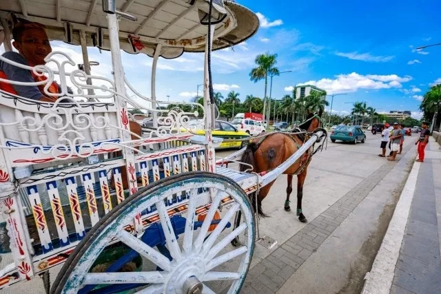 editor_1530929062406513.jpg 4.webp.jpg