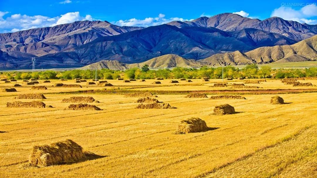 editor_1531834626283781.jpg 3.jpg