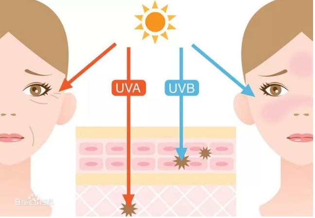 editor_1532314219738496.png 6.png