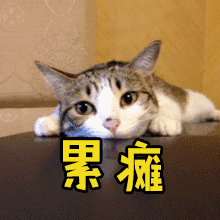 editor_1532325632269030.gif 2.gif