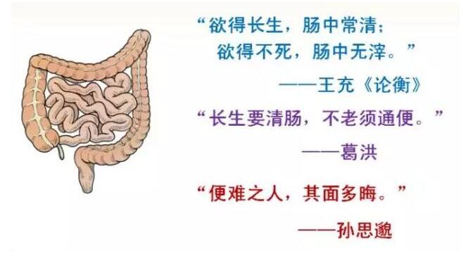 editor_1532916358625564.jpg 1.jpg