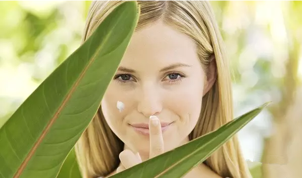 editor_1533608099556818.png 1.png