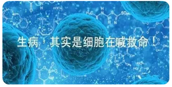 editor_1534130613510523.png 6.png