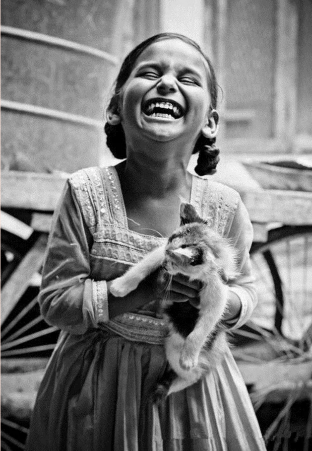 editor_1534557515901350.png 3.png