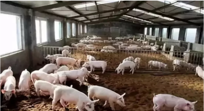 editor_1534558314822569.png 7.png