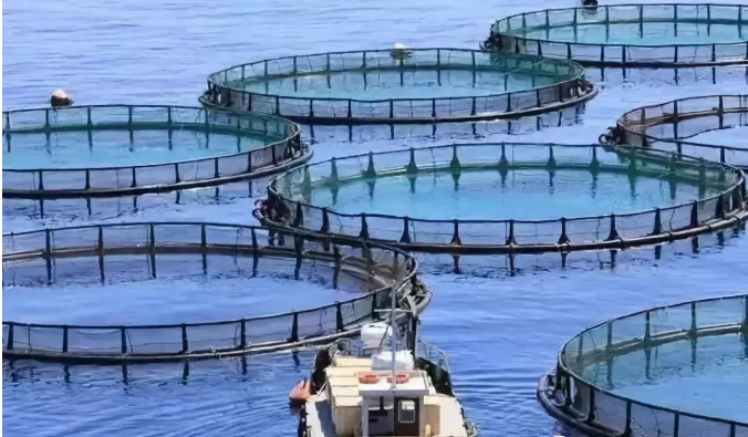 editor_1534558319748167.png 8.png