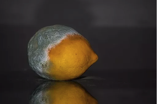 editor_1536912610648703.png 1.png