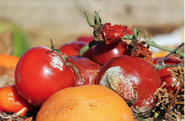 editor_1536912632989688.png 4.png