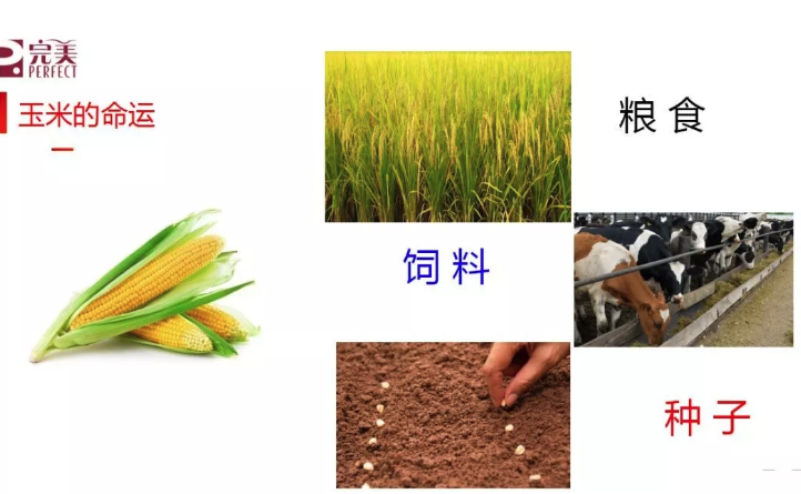 editor_1537946331316255.png 2.png