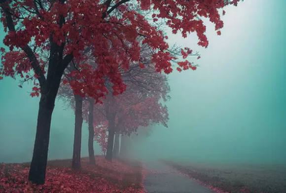 editor_1540878981573771.png 2.png