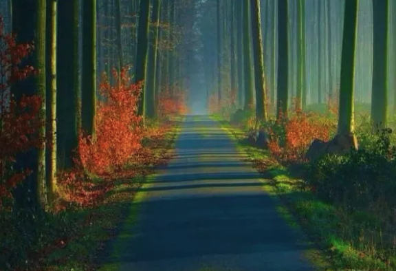 editor_1540879010657567.png 7.png