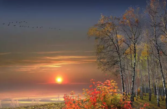 editor_1540879016804114.png 8.png