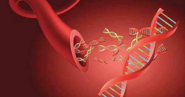 editor_1542851412827110.png 1.png