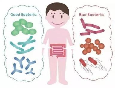 editor_1543480938565510.jpg 9.jpg