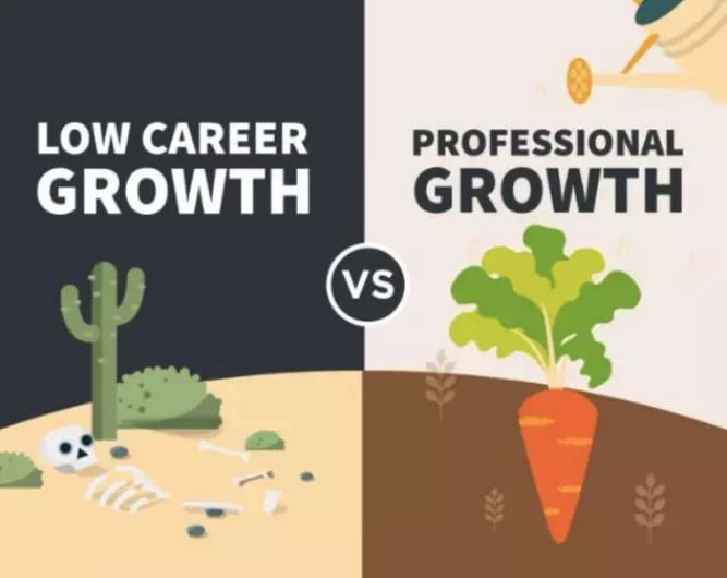 editor_1547620612373182.png 2.png