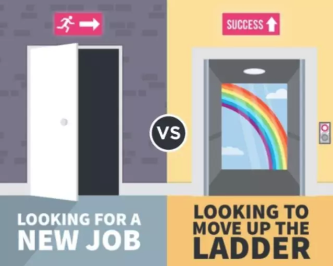 editor_1547620649458444.png 7.png