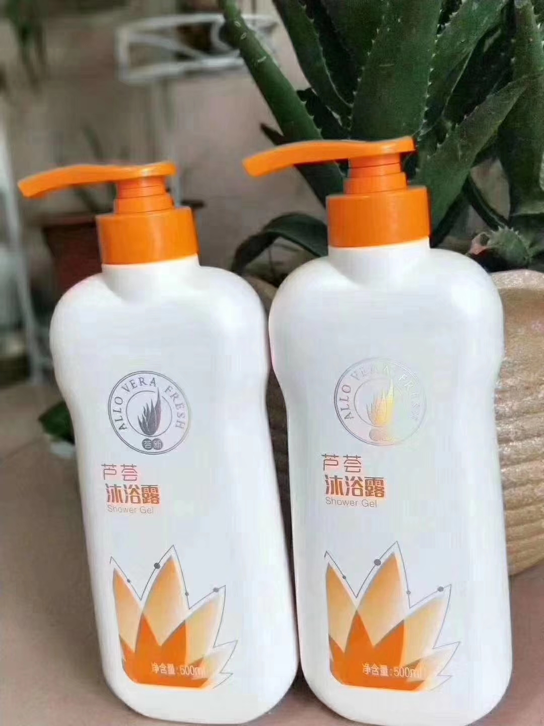 editor_1551080749481069.jpg 4.jpg