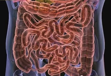 editor_1558664780459594.png 2.png