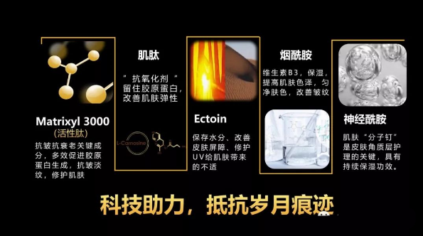 editor_1568940969851065.png 15.png