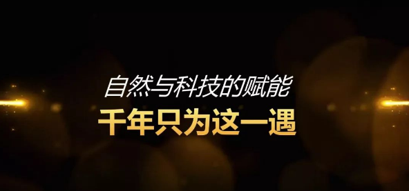 editor_1568941069325261.png 22.png