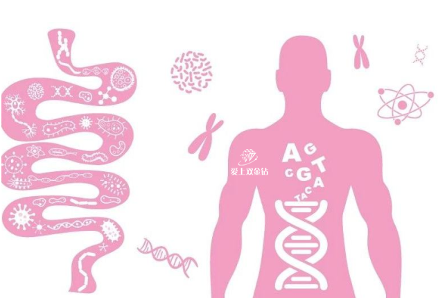 editor_1571737004622426.png 2.png