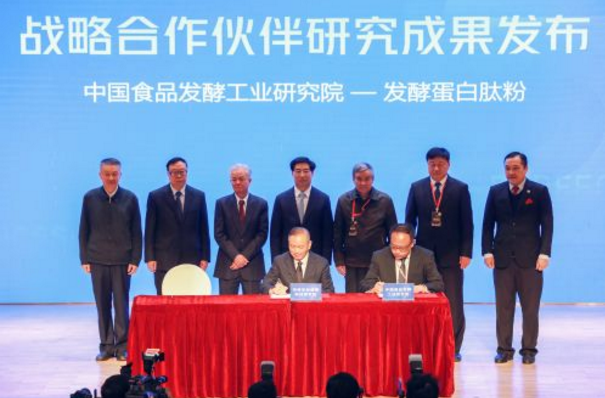 editor_1608364431684599.png 2.png