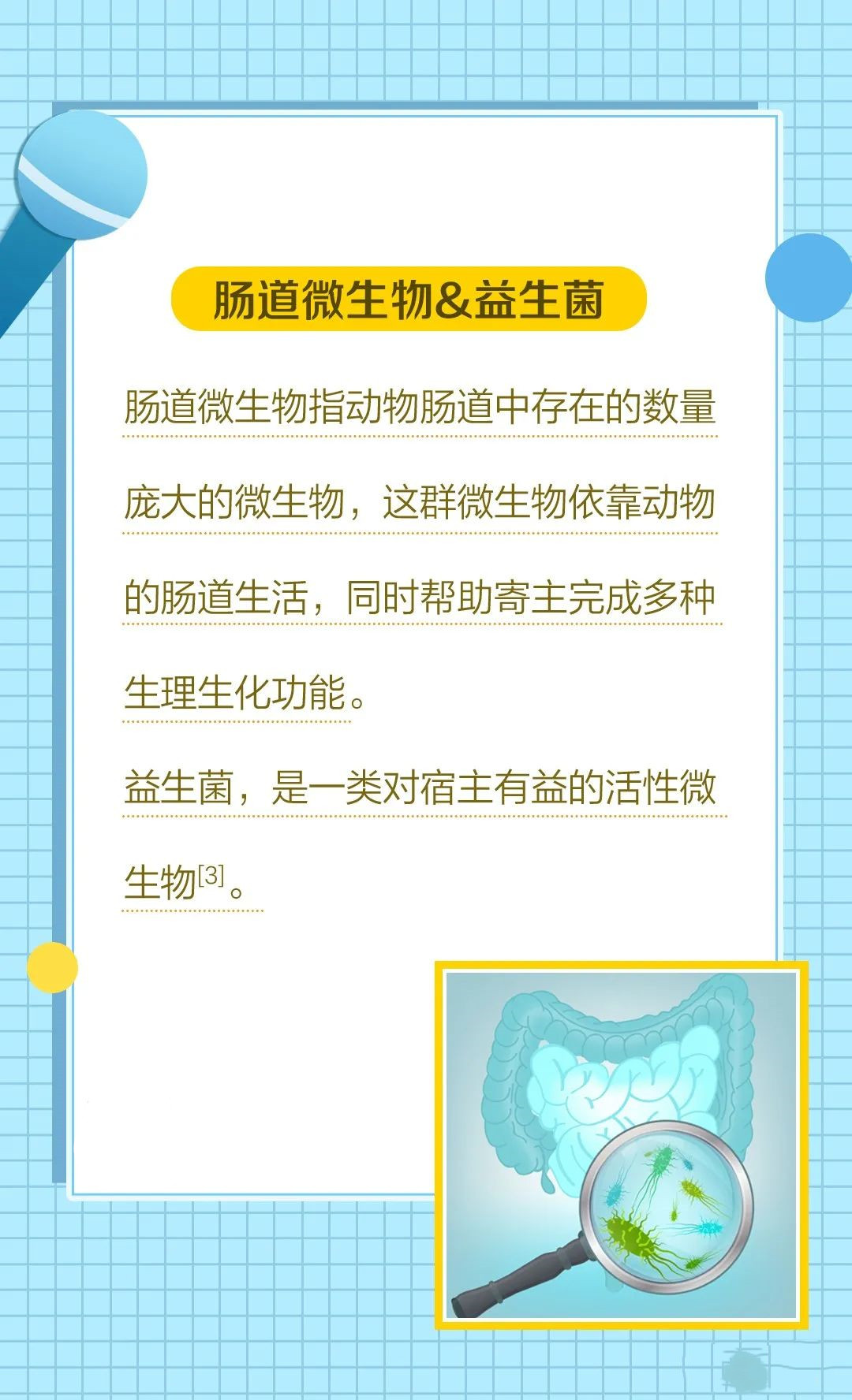 editor_1621152007887041.jpg editor_1621151920884959_副本.jpg