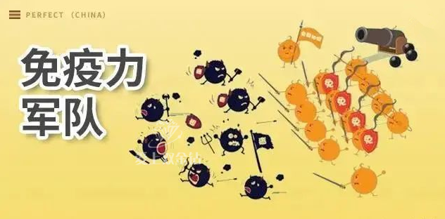 editor_1642837268832291.png 2.png