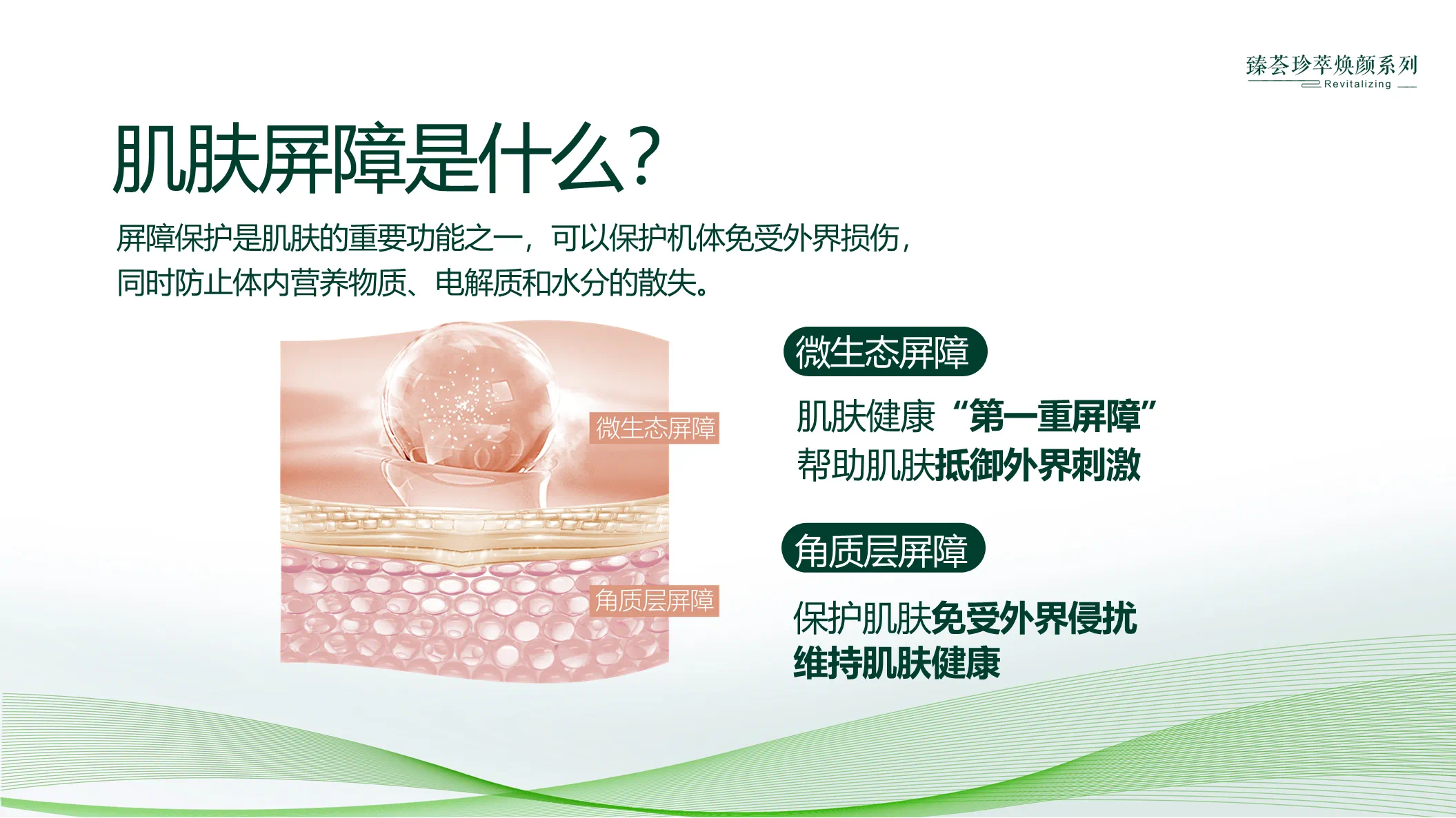 editor_1723686354482532.png editor_1723686354482532.png