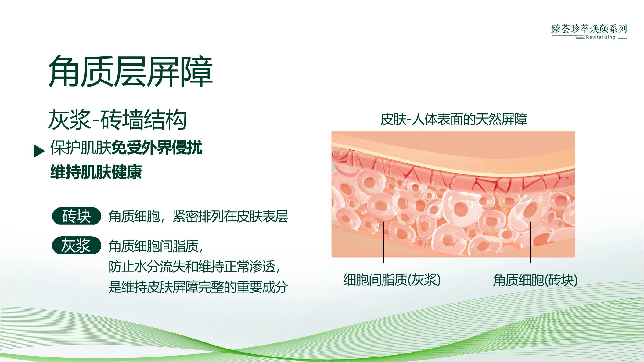 editor_1723686460537251.png editor_1723686460537251.png