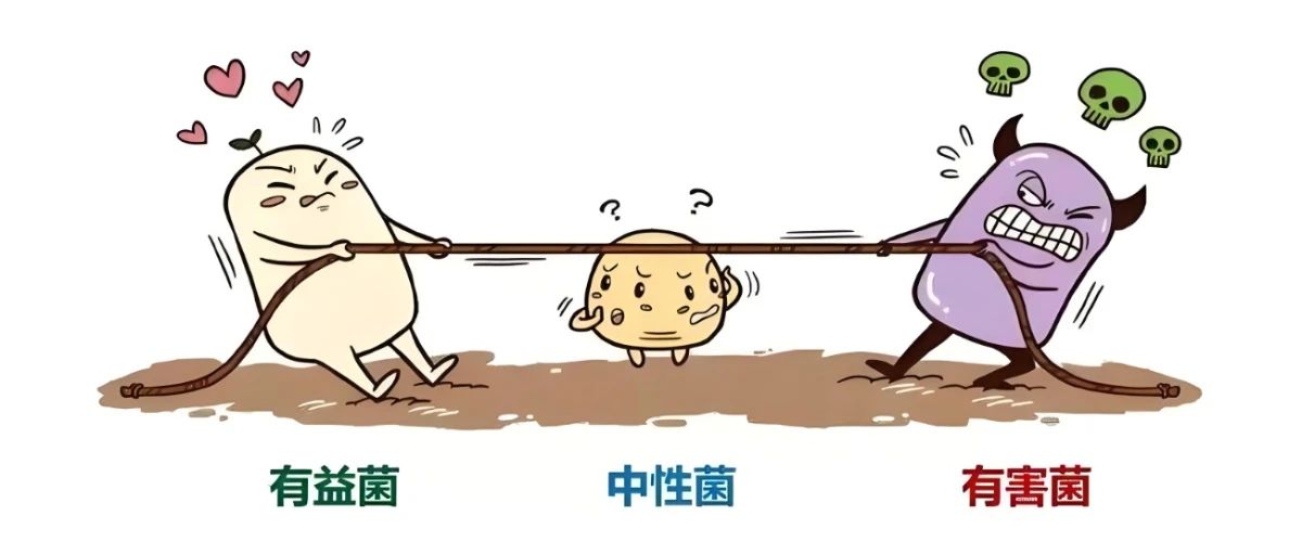 editor_1730533919170669.jpg 微信图片_20241102154949.jpg