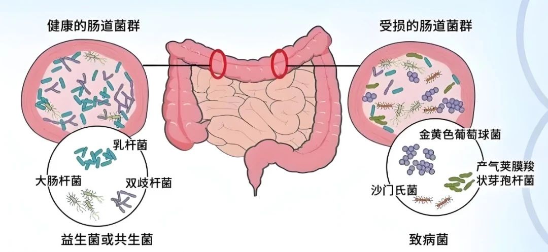 editor_1730533930634169.jpg 微信图片_20241102154951.jpg