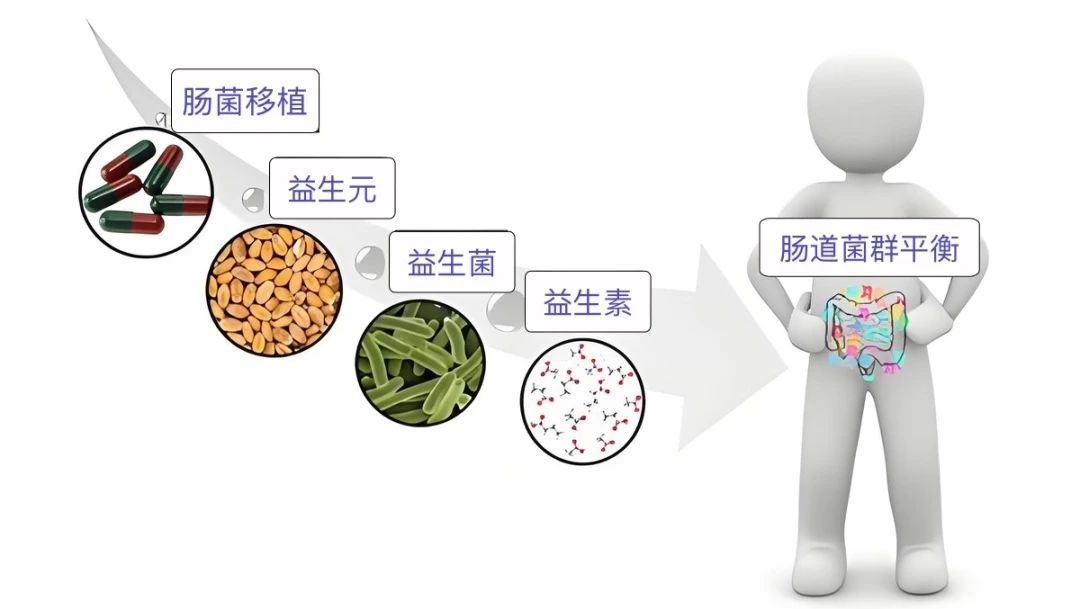 editor_1730533946806779.jpg 微信图片_20241102154957.jpg