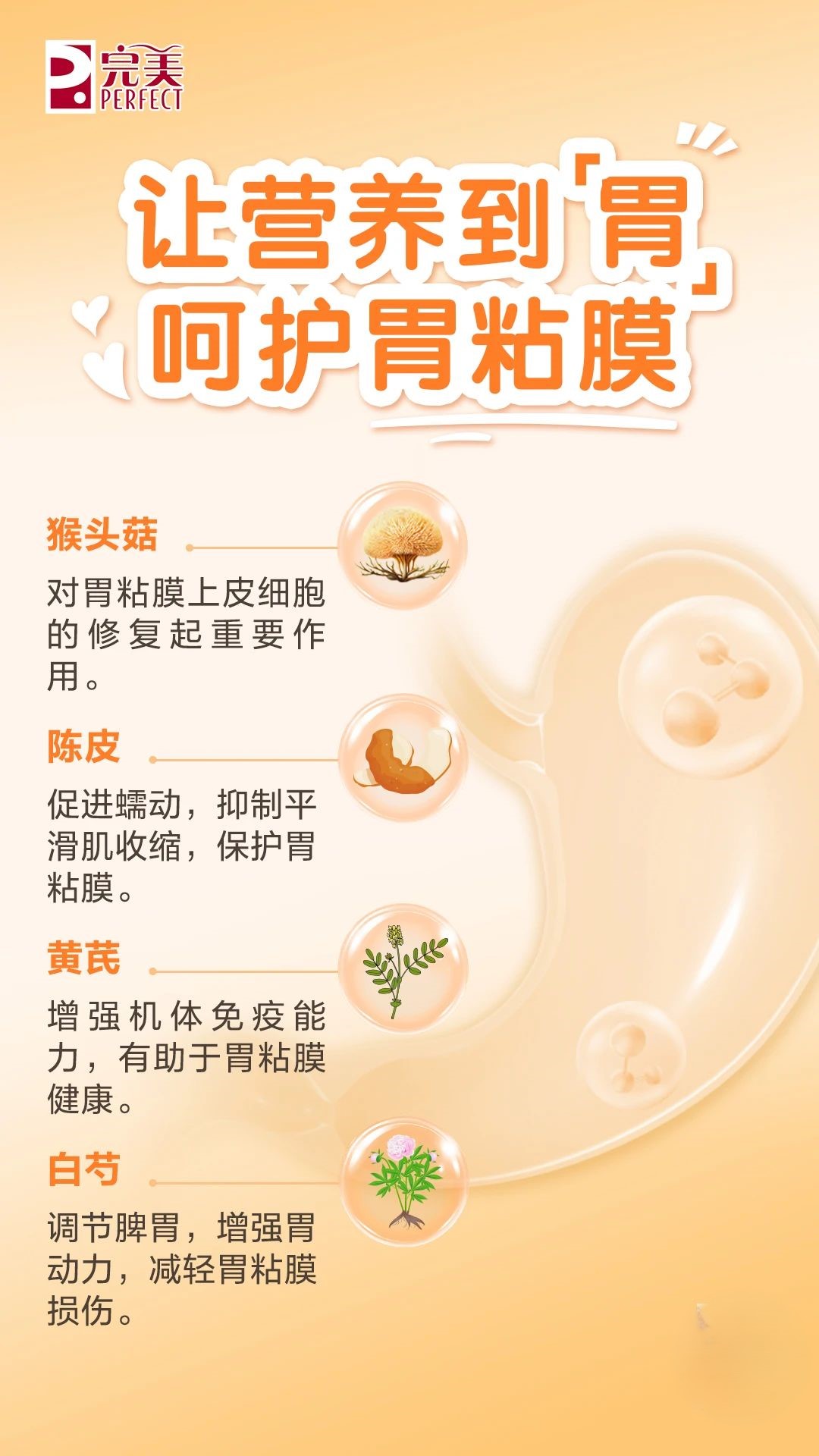 editor_1739608476278494.jpg 微信图片_20250215163147.jpg
